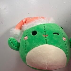 Small cactus Christmas had Squishmallow